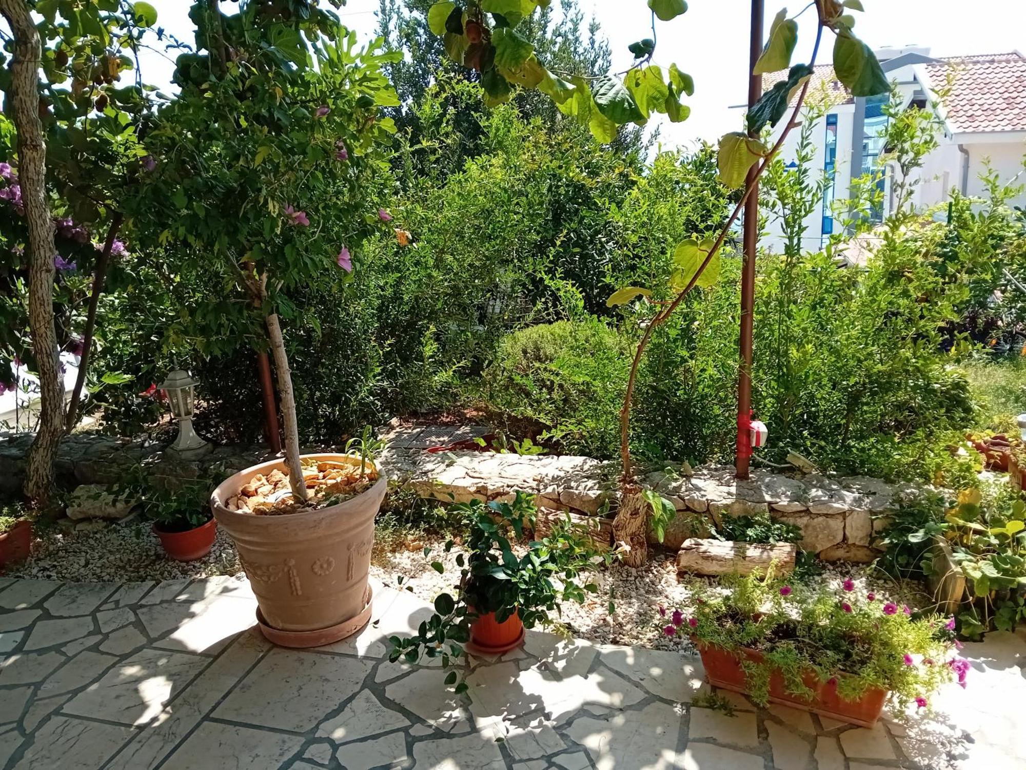 Spajic Apartments Seget Vranjica Kültér fotó